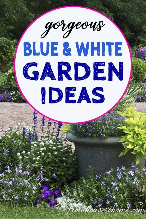 blue and white garden ideas with text overlay