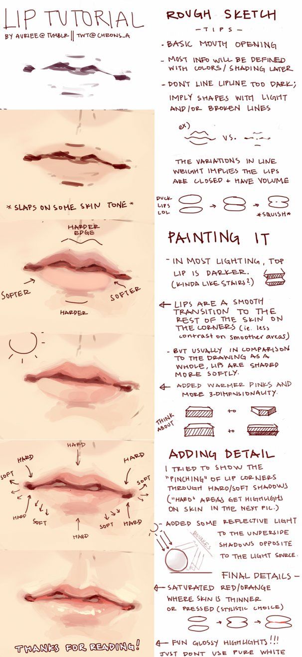 the different stages of lip fillers and how to use them for each other's lips