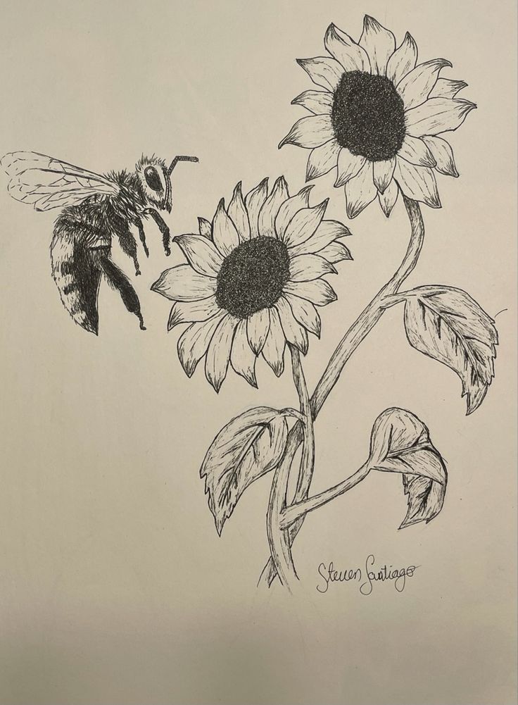 Bee
Sunflower
Daily sketch
Sketch
Flower sketch 
Daily challenge Sunflower Drawing Ideas, Honey Combs Drawing, Sunflower Drawing Tattoo, Sunflower Drawing Pencil, Sunflower With Bee Drawing, Sunflower Pencil Drawing, Sunflower Aesthetic Drawing, Flowers With Bees Drawing, Sunflower Drawings