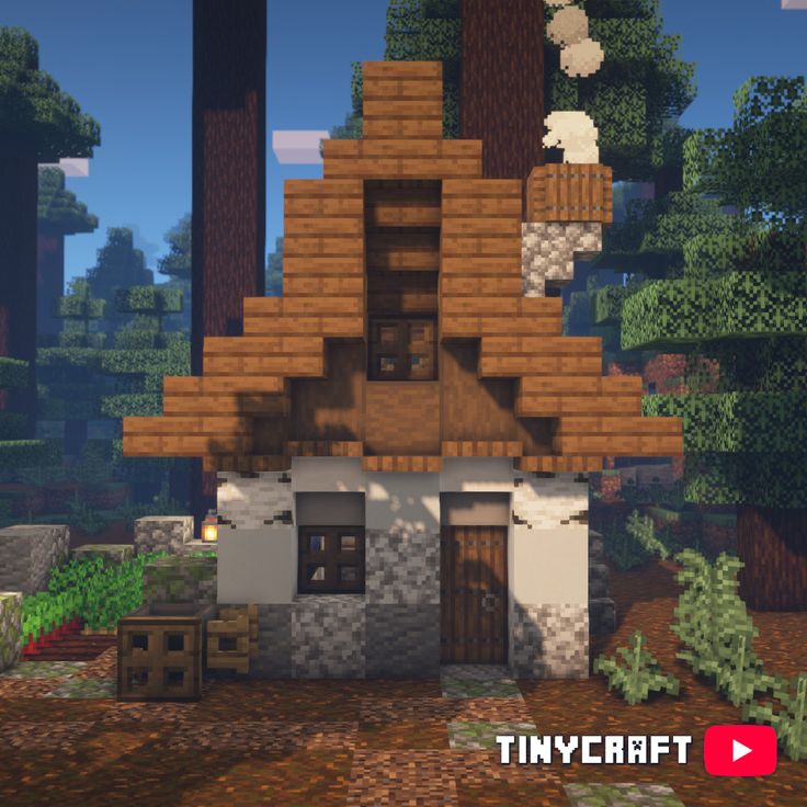 the tiny house in minecraft