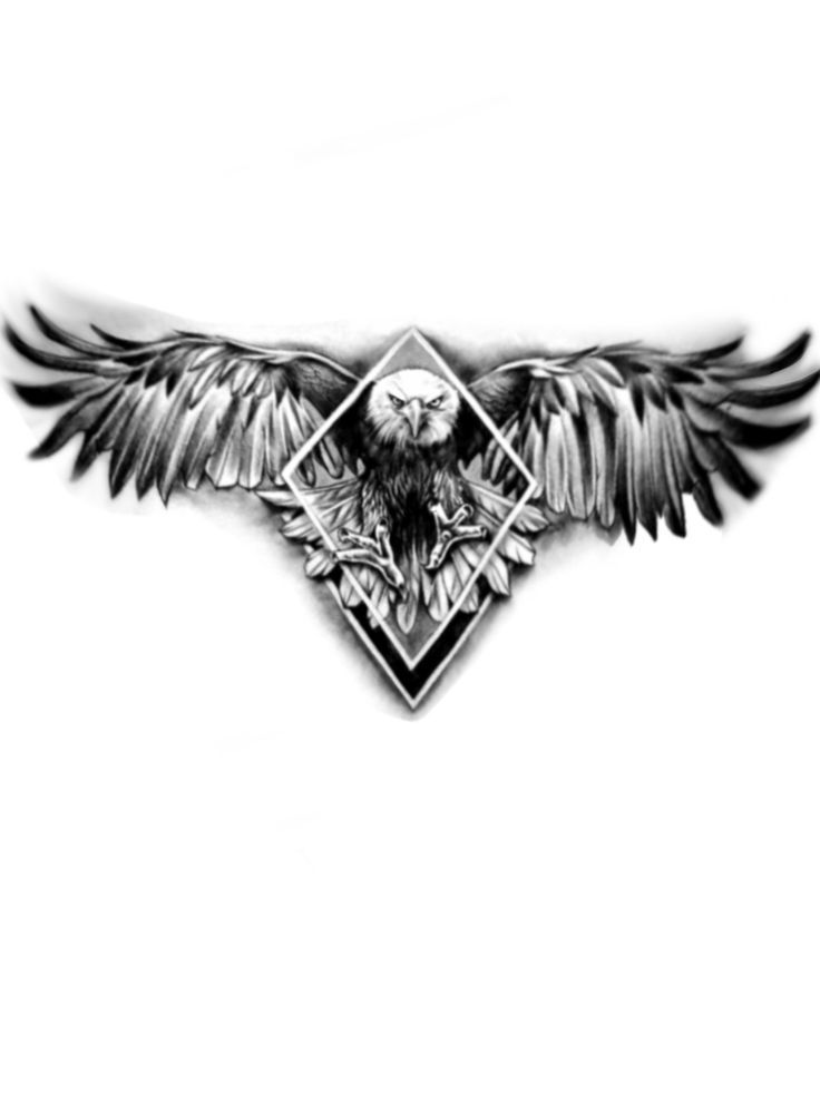 a black and white photo of an eagle with wings on it's back side