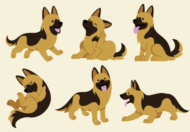 a set of cartoon german shepherd dogs with different poses and expressions royalty free stock illustration