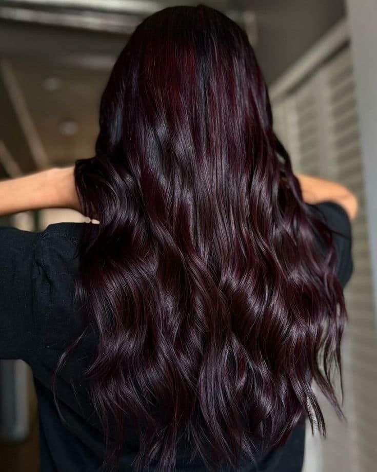 Cherry Wood Hair Color, Dark Brown Hair With Hint Of Burgundy, Dark Red Brown Hair Color Burgundy, Garnet Color Hair, Red Wine Hair Color Ombre Dark Brown, Cherry Black Hair Color Dark Brown, Dark Chocolate Burgundy Hair, Cool Dark Hair Color, Reddish Black Hair Color