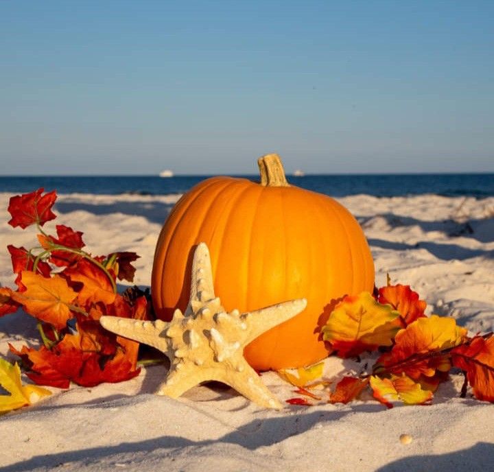 a pumpkin and starfish on the beach with autumn leaves