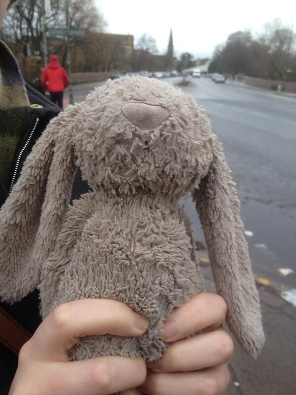 a person holding a stuffed animal in their hands on the side of the road,