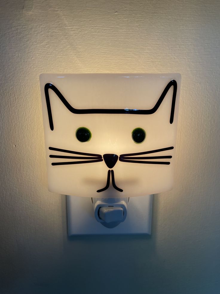 a light that is on the wall with a cat's face painted on it