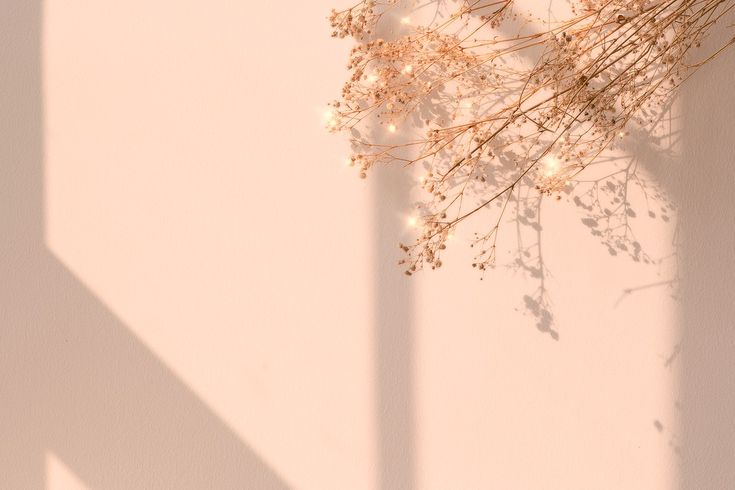 dried flowers against a white wall with the shadow of a light shining on it's side