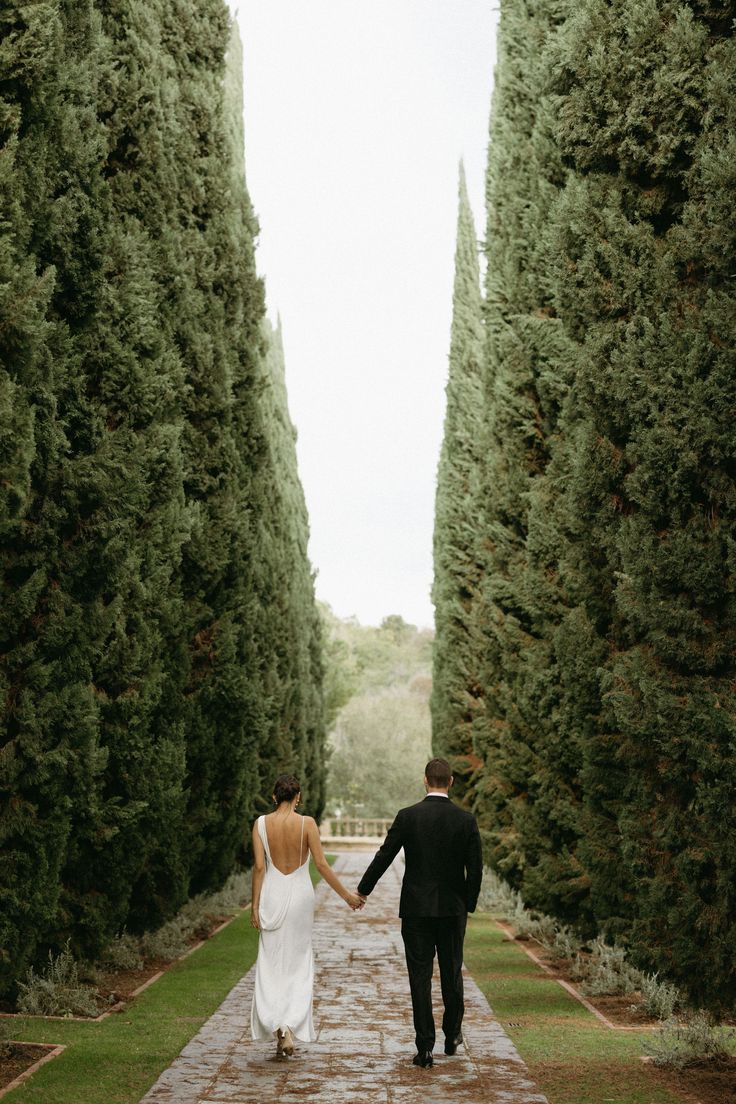 a bride and groom holding hands while walking down a path between tall, slender trees