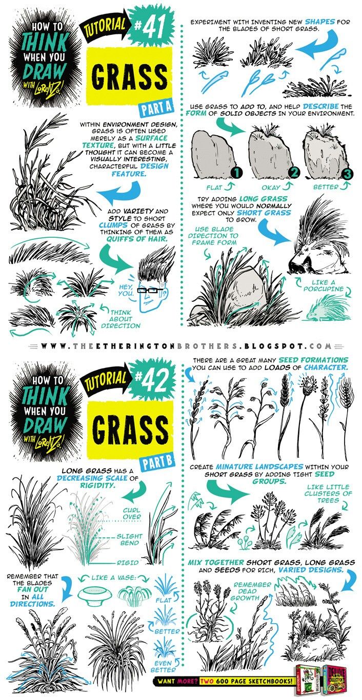 an illustrated poster with different types of plants