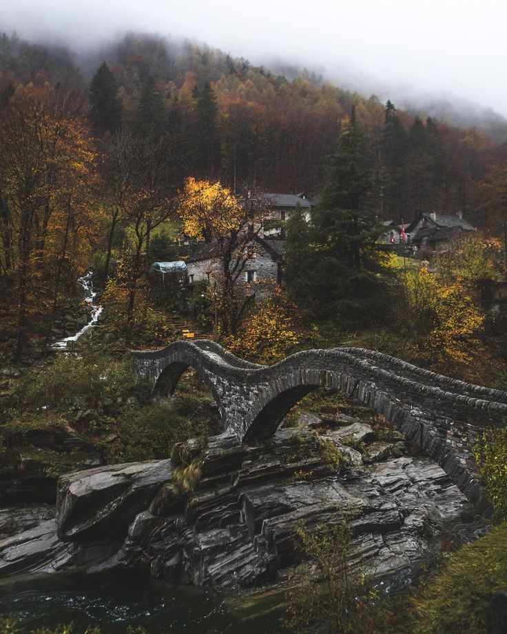 an old stone bridge over a stream in the middle of a forest with houses and trees