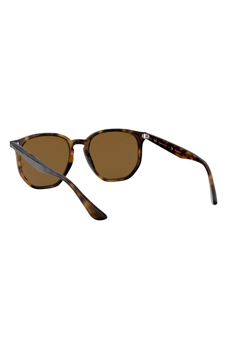 A keyhole bridge and round frames intensify the retro attitude of these glare-reducing Italian sunglasses. 54mm lens width; 19mm bridge width; 145mm temple length 100% UV protection Polarized crystal lenses Nylon Made in Italy Classic Brown Sunglasses For Outdoor, Brown Round Sunglasses With Uva Protection, Classic Brown Sunglasses For Travel, Brown Round Frame Sunglasses With Mirrored Lenses, Brown Mirrored Round Frame Sunglasses, Classic Brown Sunglasses With Uv Protection, Classic Brown Anti-reflective Sunglasses, Brown Round Frame Sunglasses With Tinted Lenses, Brown Sunglasses With Tinted Round Lenses