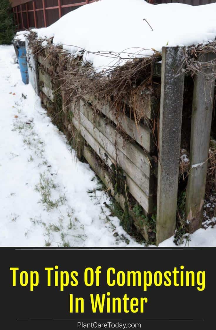 the top tips of composting in winter