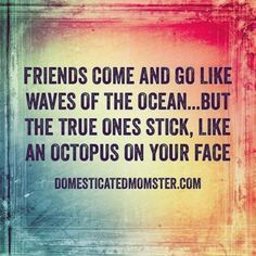 the quote friends come and go like waves of the ocean but the true ones stick, like an octopus on your face