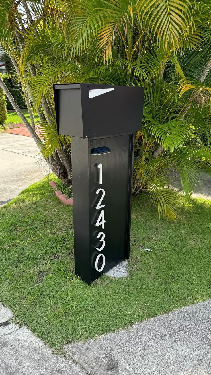 a black mailbox sitting on the side of a road next to some palm trees