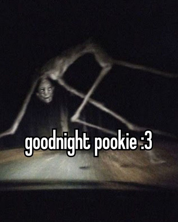 a person is standing in the dark with their hand up and texting good night pokie 3