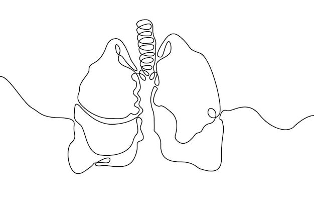 a line drawing of the lungs