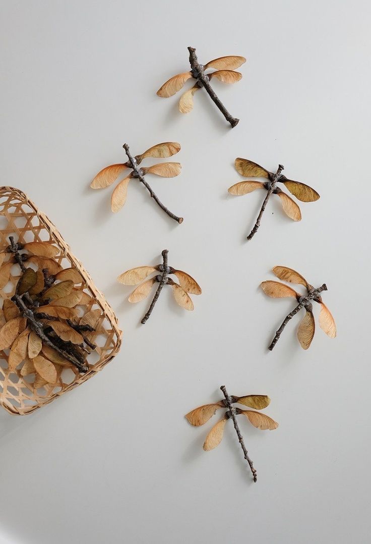 several dragonflys are placed on a white surface next to a basket filled with coins