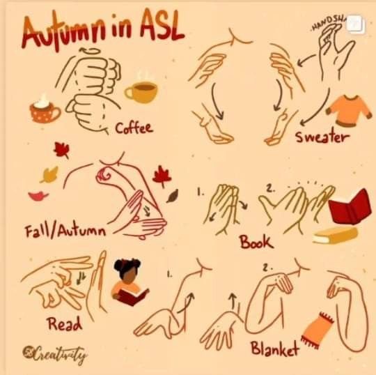 English Sign Language, Light Orange Background, Asl Words, Learning Asl, Simple Sign Language, Asl Sign Language Words, Sign Language Art, Sign Language Chart, Sign Languages