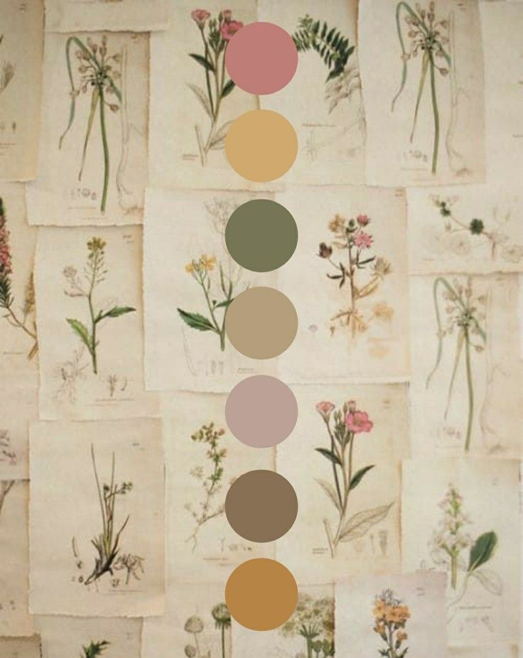 Tone Color Palette, Earth Tone Color Palette, Earth Tone Color, Color Schemes Colour Palettes, Theme Color, Color Palette Design, Wedding Color Palette, Paint Colors For Home, Earthy Colors