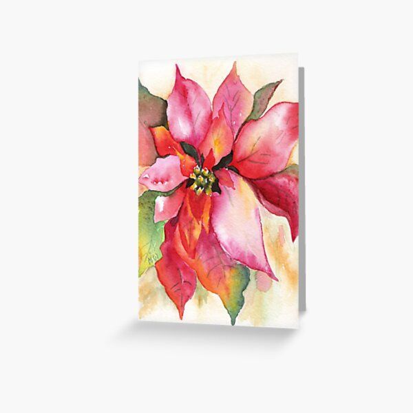 a watercolor painting of a pink and red poinsettia flower with green leaves