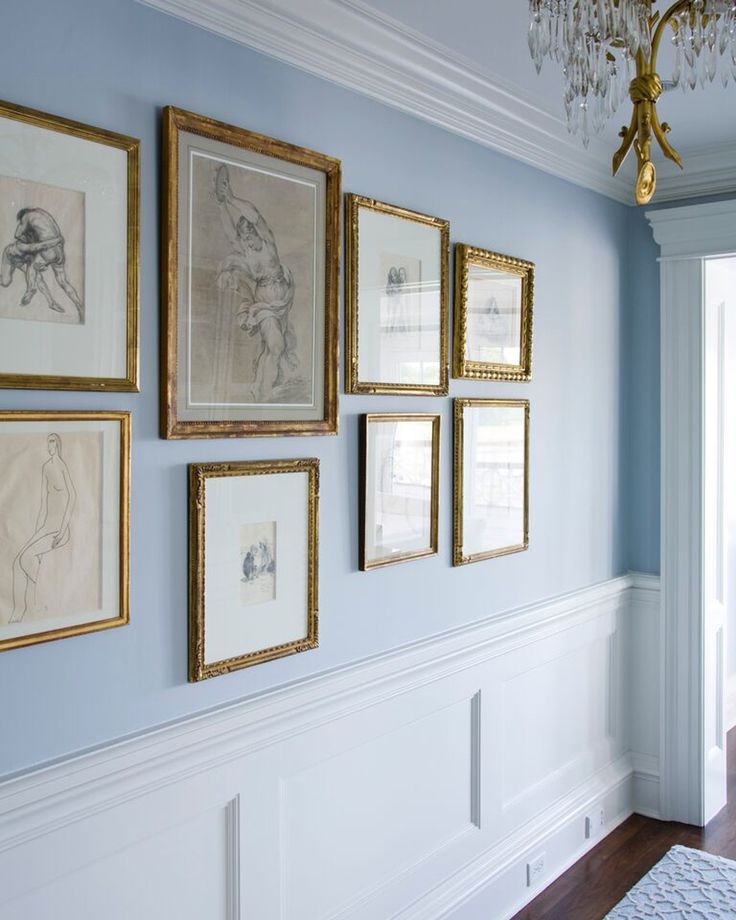 there are many framed pictures on the wall in this room with blue walls and wood floors