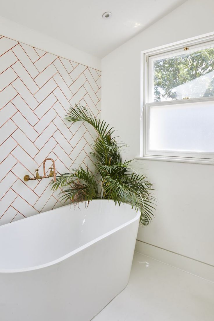 a white bath tub sitting under a window next to a potted plant in a bathroom