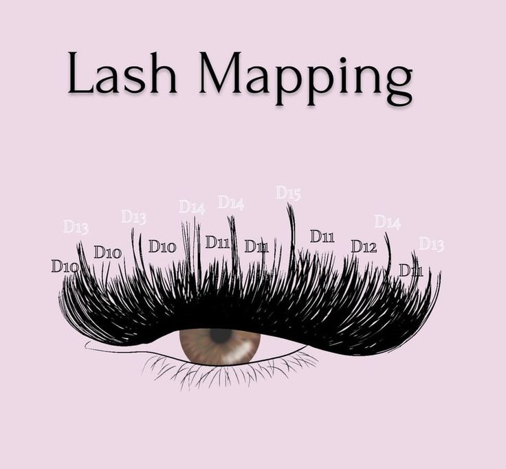 Lash Mapping Ideas, Lash Artist Tattoo Ideas, Eyelash Extensions Chart, Prices For Lashes, Lash Instagram Name Ideas, Lash Models Needed Instagram Post, Types Of Lash Extension Styles Chart, Whispy Lashes Extensions Map, Models Needed Post