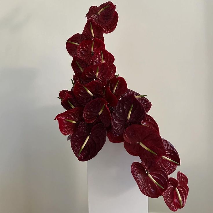 a white vase filled with red flowers on top of a table