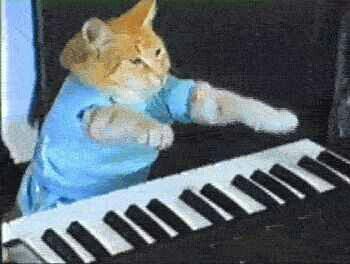 an orange and white cat sitting on top of a keyboard next to a person's hand