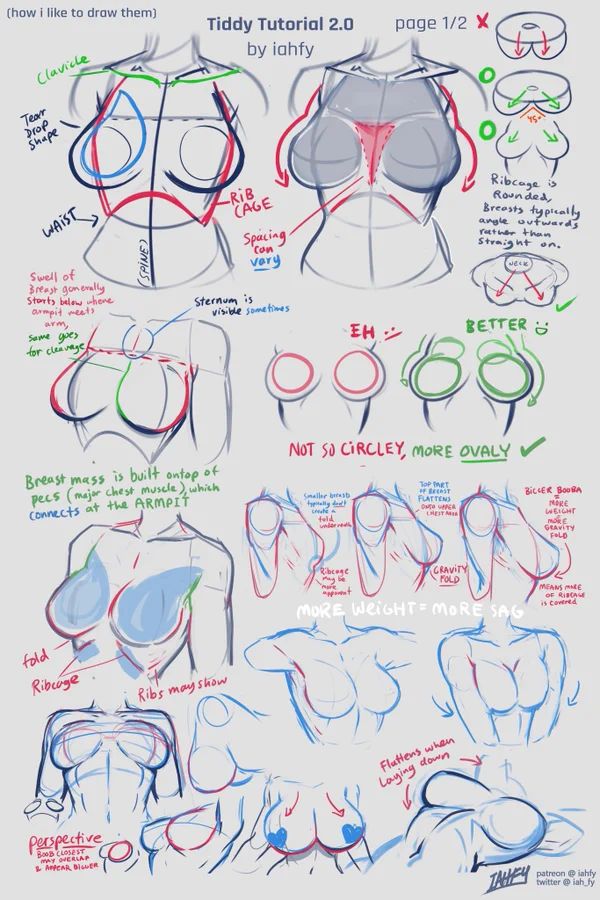 how to draw the torso and chest in 3 easy steps with this step by step drawing guide