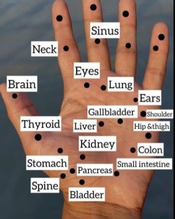 Foot Acupressure Points, Hand Acupressure Points, Accupunture Points Acupuncture, Pressure Points Chart, Hand Pressure Points, Body Pressure Points, Healing Reflexology, Reflexology Points, Acupressure Point