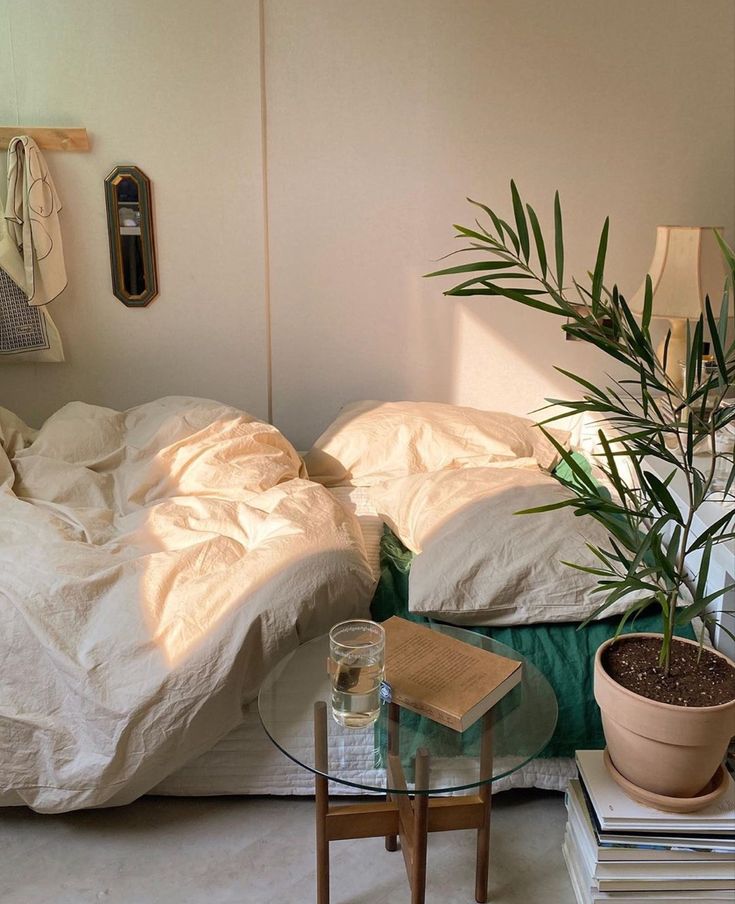 a bed with white sheets and pillows next to a plant on top of a glass table