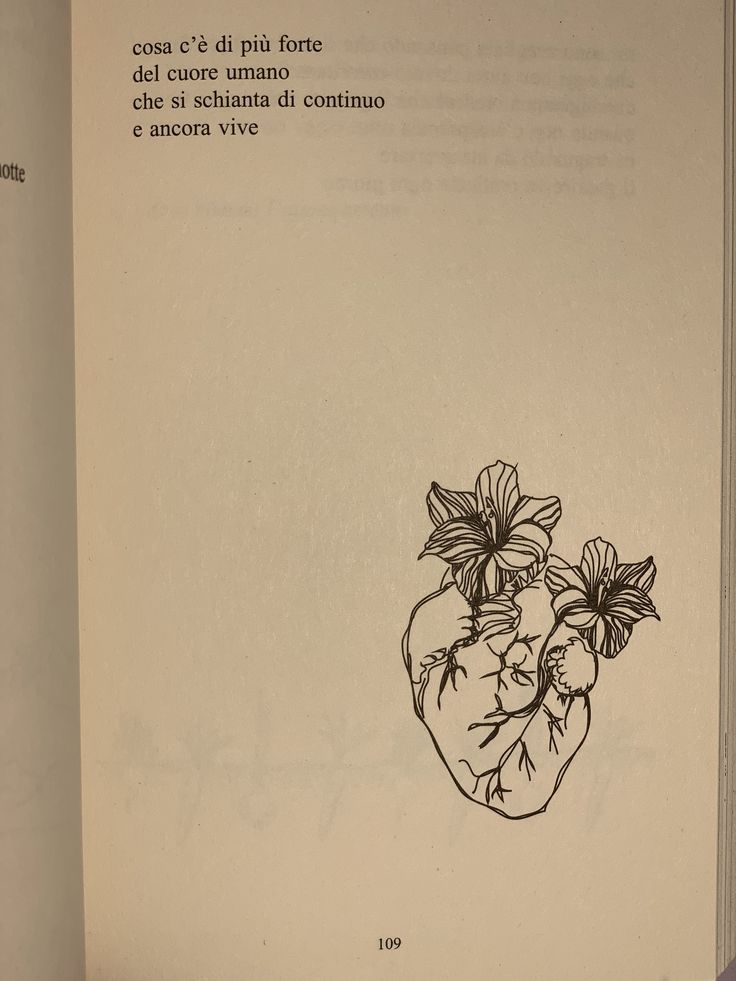 an open book with drawings of flowers in the shape of a heart on top of it