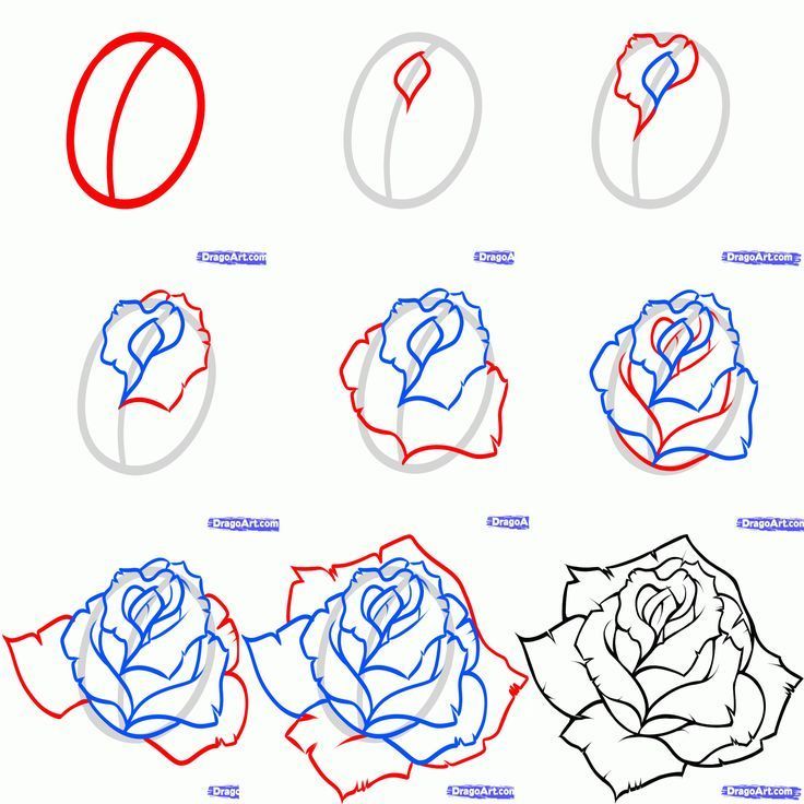 How to draw a rose step by step Chicano Flower Drawing, How To Draw Tattoos Step By Step, How To Draw A Rose, How To Draw Roses, Flower Sketch Pencil, Rose Step By Step, Draw A Rose, Flower Step By Step, Rose Sketch