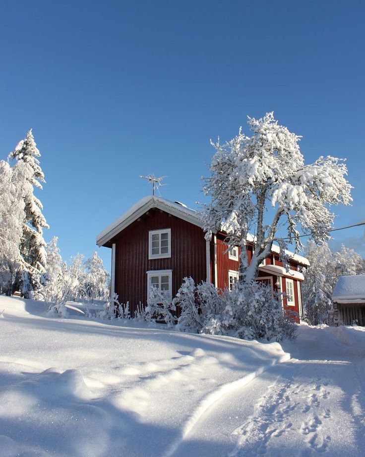 a red house surrounded by snow covered trees on a sunny day with blue sky in the background