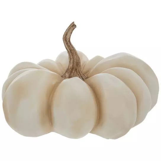 a white pumpkin on a white background