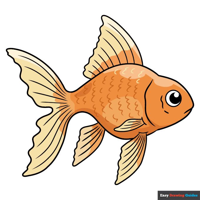 a goldfish with black and white lines on it's body