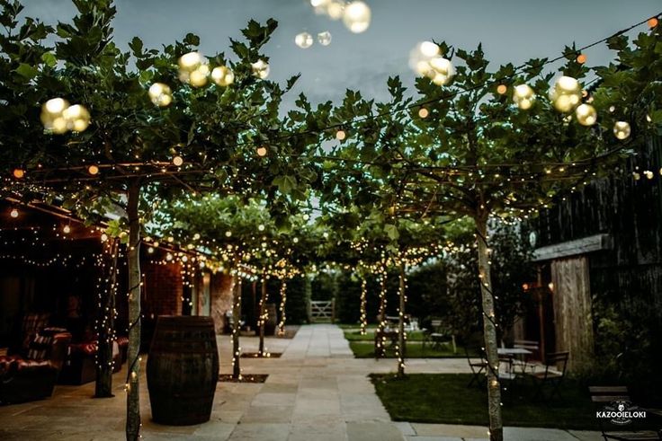 an outdoor area with lights strung from the trees and hanging on strings over the walkway