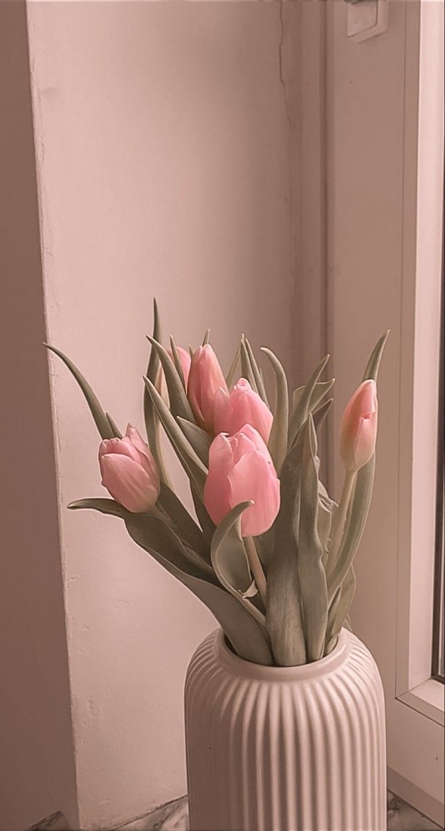 Aesthetic minimal Pink Tulips Wallpaper Aesthetic, Soft Pink Photo, Tulip Aesthetic, Wallpaper With Flowers, Baby Pink Wallpaper Iphone, Tablet Aesthetic, Iphone 12 Wallpaper, Field Of Tulips, Lovely Wallpapers