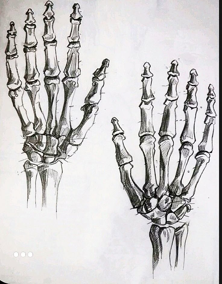 a drawing of two hands with bones attached to them