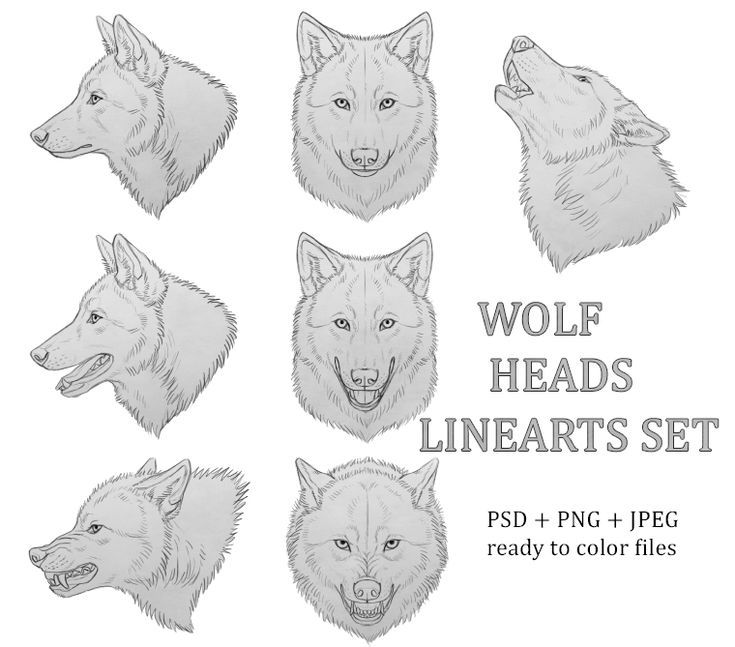 the wolf heads are drawn in different ways