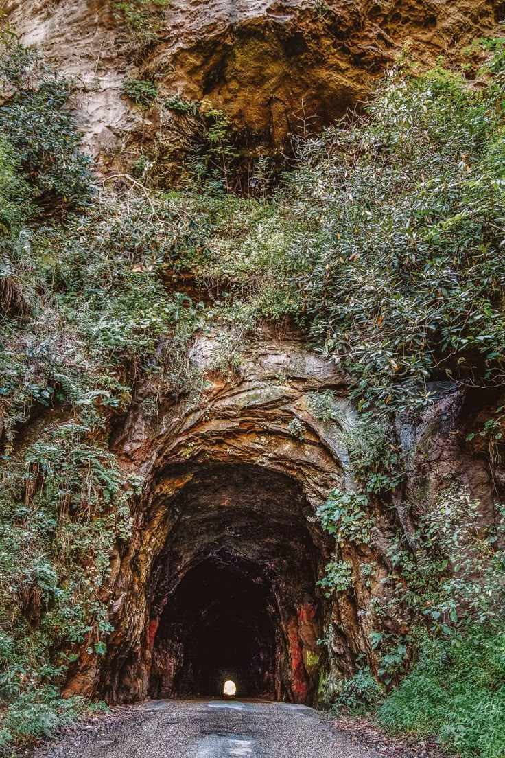 a tunnel in the side of a mountain with trees growing on it's sides