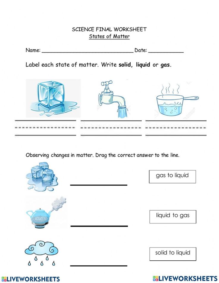 science worksheet with pictures and words to describe the matter in this workbook