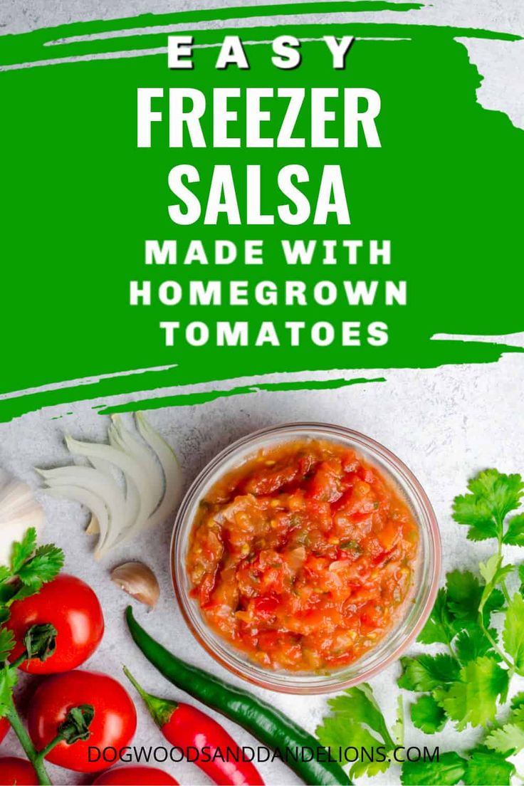 easy freezer salsa made with homemade grown tomatoes and fresh herbs is the perfect way to enjoy it