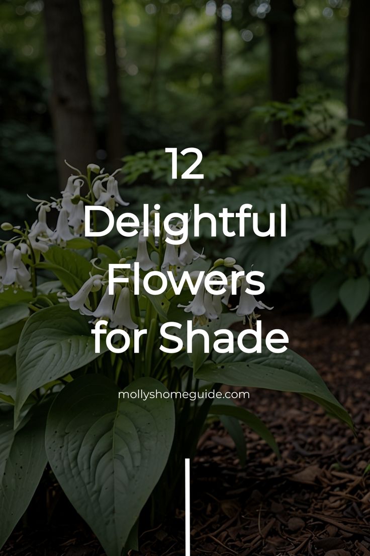 flowers with the words 12 delightful flowers for shade in front of trees and foliages