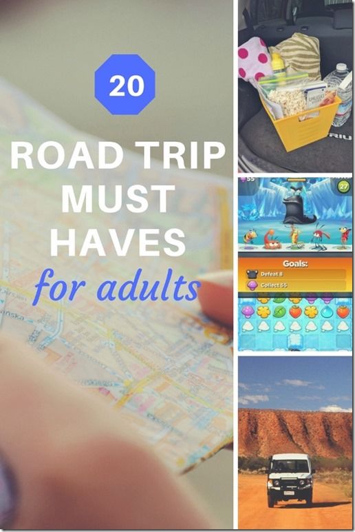 the road trip must have for adults