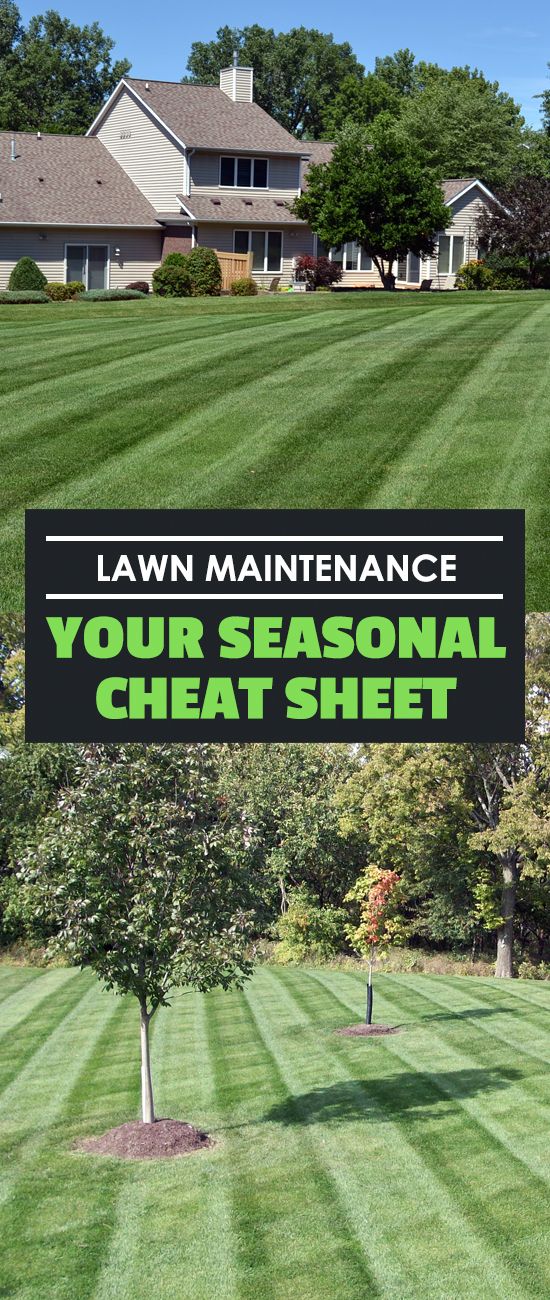 lawn maintenance banner with the words lawn maintenance your seasonal heat sheet