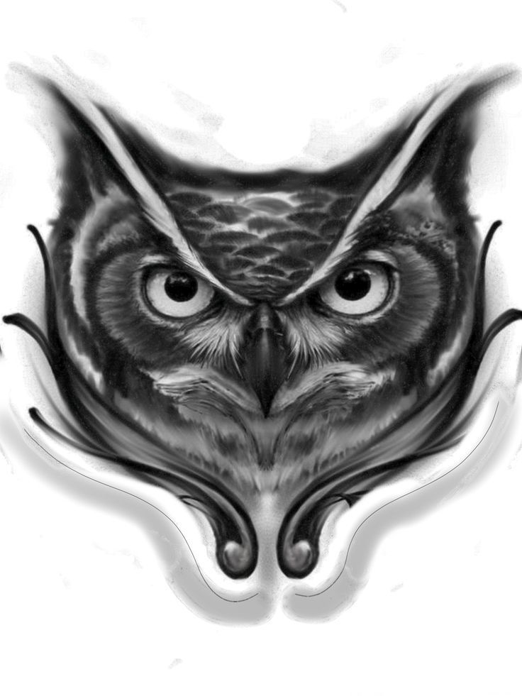 an owl's face with large eyes is shown in this black and white photo