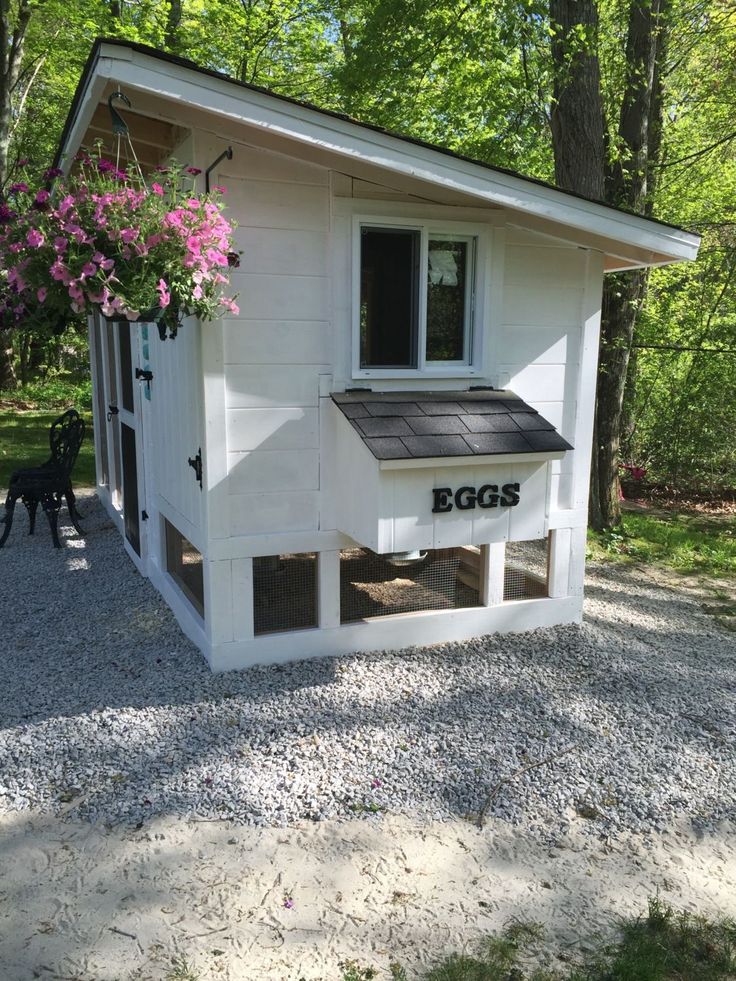 a white chicken coop with flowers in the window