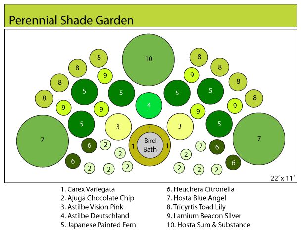 a diagram showing the number of different types of garden plants